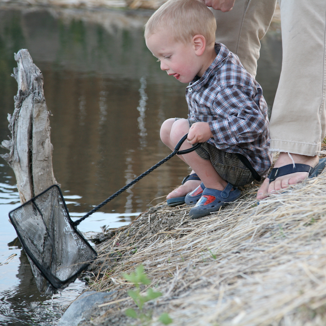 The exciting world of Macroinvertebrates